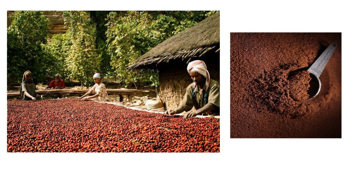 Image on the left shows a farmer spreading coffee beans in the sun, while image on the right is a coffee powder.